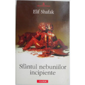 Sfantul nebuniilor incipiente – Elif Shafak
